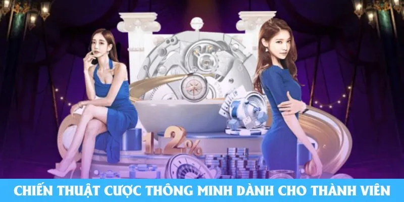 Chiến thuật cược thông minh dành cho thành viên