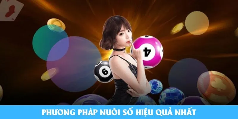 Phương pháp nuôi số hiệu quả nhất