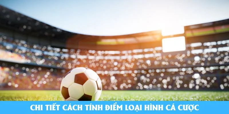 Chi tiết cách tính điểm loại hình cá cược