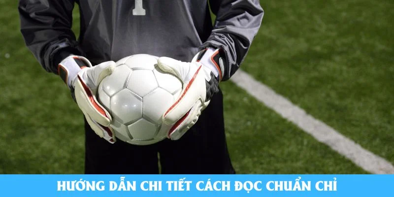 Hướng dẫn chi tiết cách đọc chuẩn chỉ